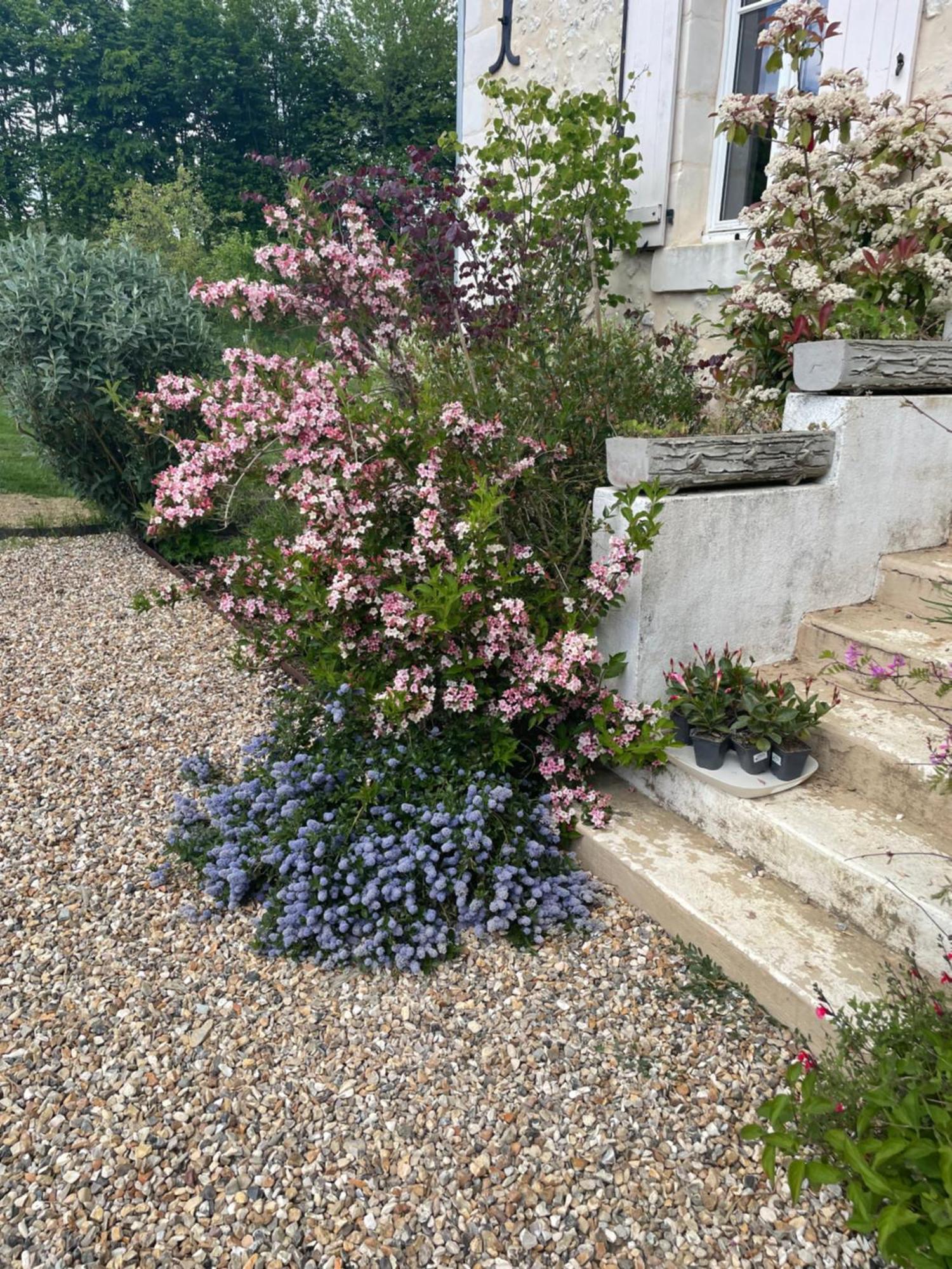 Domaine De La Vove