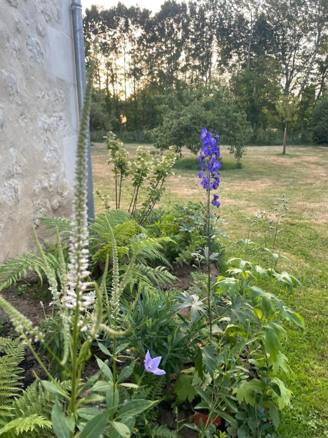 Homestay Domaine De La Vove *