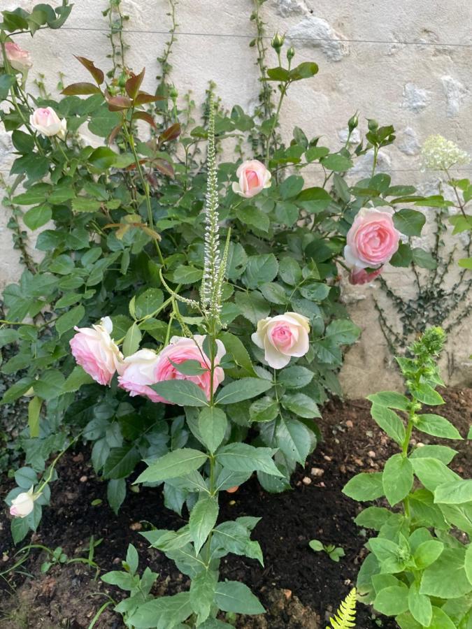 Domaine De La Vove Homestay Corbon (Orne)