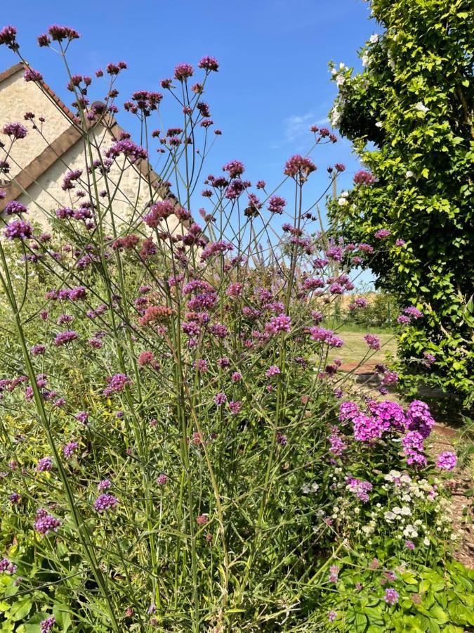 Homestay Domaine De La Vove