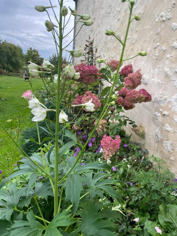 Domaine De La Vove Homestay Corbon (Orne)