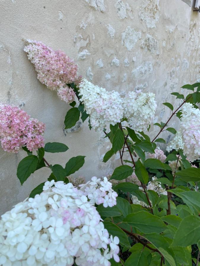 Domaine De La Vove Homestay Corbon (Orne)