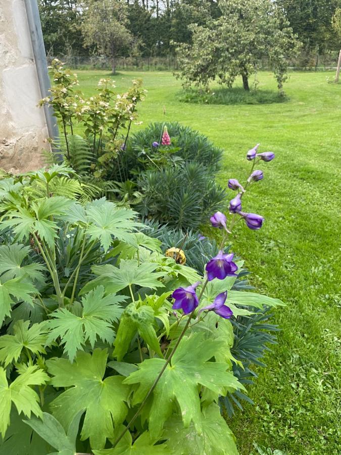Homestay Domaine De La Vove Corbon (Orne)