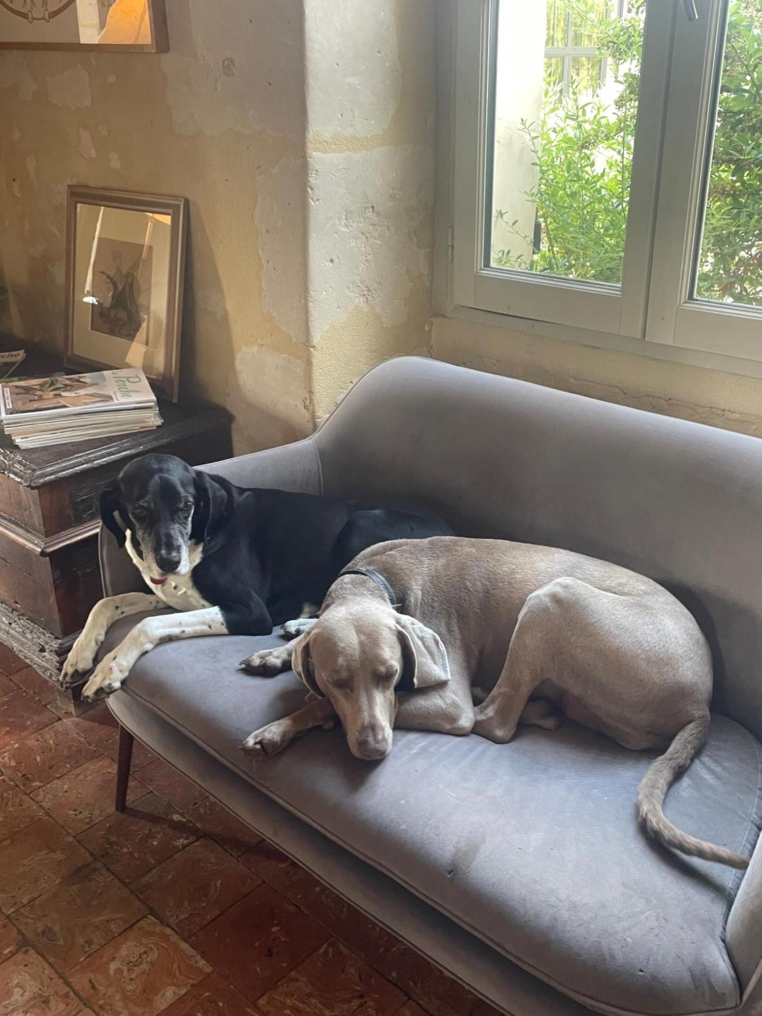 Séjour chez l'habitant La Vove
