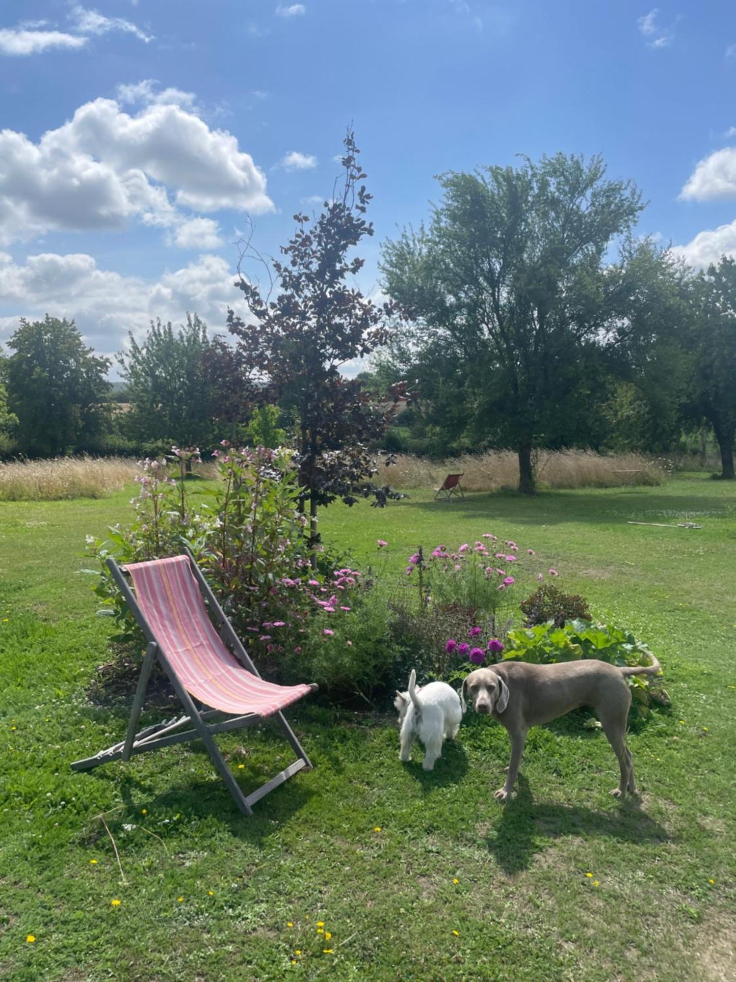 Domaine De La Vove Privatunterkunft *